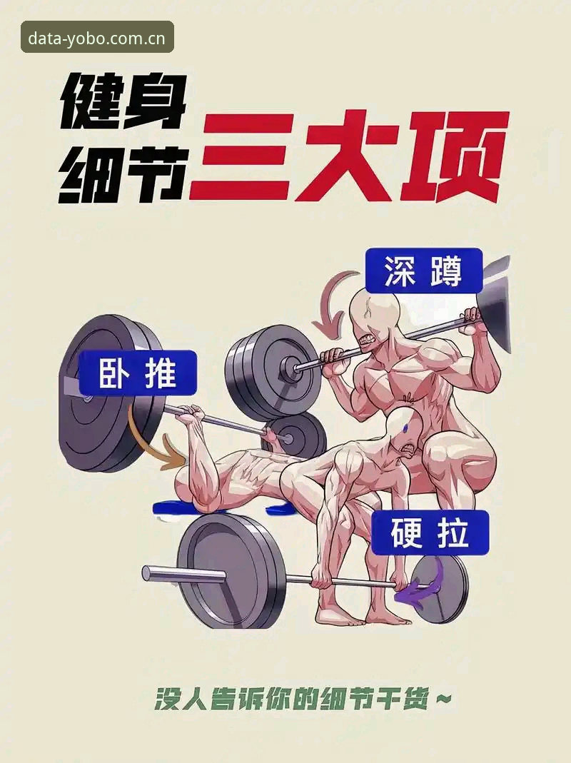 YB体育平台实测：5大核心功能与3项使用技巧全解析